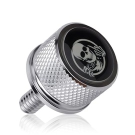Motorcycle Rear Mudguard Seat Screw, Skull Design 1/4"-20 Thread Seat Screw Replacement for 1996-2025 Motorcycles (Silver)