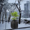 Plant Winter Protection Cover Multipurpose Thickened Reusable Frost Protection Plant