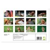 Squirrels - Tiny Explorers (Monthly Wall Calendar 2026 16.5" x