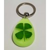 HQRP-Crystal 2.1" Real Four Leaf Clover Shamrock in Glow in