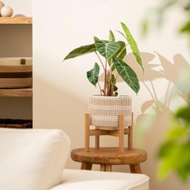 LA JOLIE MUSE 7.3 Inch Ceramic Planter with Wood Planter Holder -Beige Modern Round Decorative Flower Pot Indoor with Wood Stand