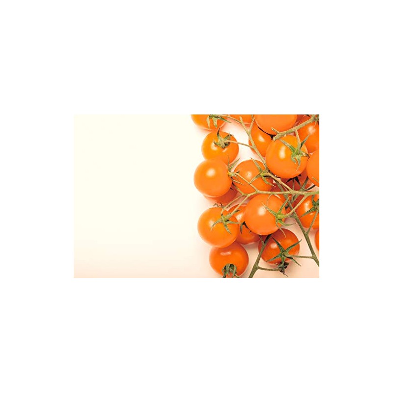 Sunsugar Hybrid - Tomato Seeds