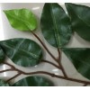 Liven&Decor Set 12 Hojas Ramas Artificial Verde Follaje Ficus -