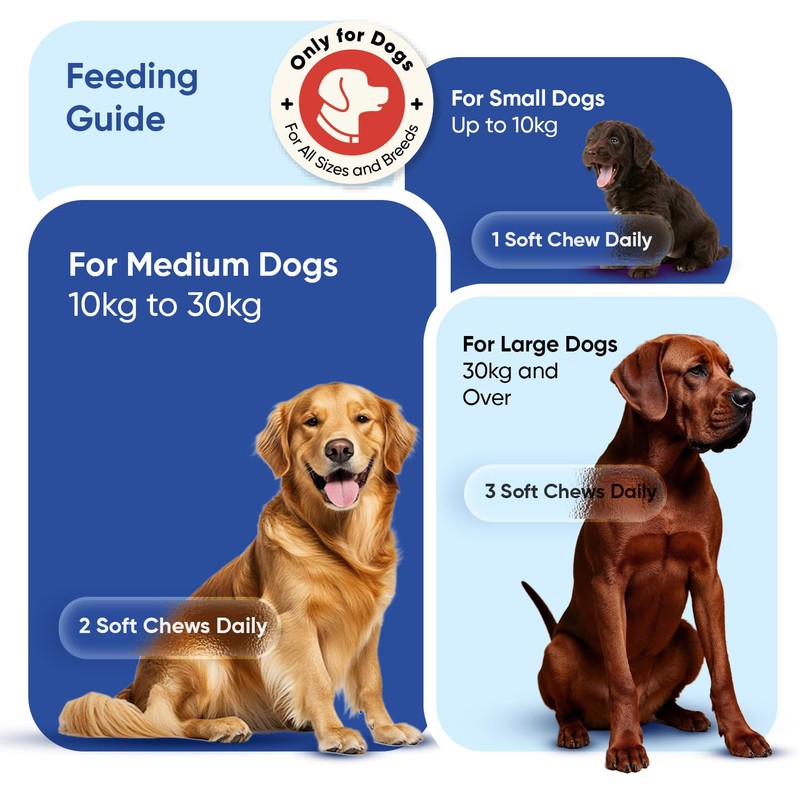 animigo Multivitamins and Minerals for Dogs - 120 Soft Chews