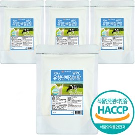 Whey Protein Powder Protein Whey Protein Large Capacity 500g 4 Packs / 유청단백분말 프로틴 유청단백질 대용량 500g 4팩