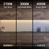 Armacost Lighting 152210 RibbonFlex Pro Series 60, 8.2 ft, 4000K