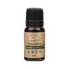 Puss Pures body home care cooling glow care body oil ylang ylang essential 10ml 1 unit / 퓨어스 몸에바르는 바디홈케어 쿨링 윤기케어 바디오일 일랑일랑 에센셜 10ml 1개