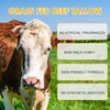 Beef Tallow for Skin, Beef Tallow for Face, Hydrating Tallow