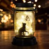 Cat Butterfly Solar Light, Fairy Lantern Garden Lights, jar Bottle