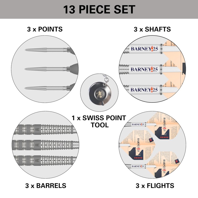 Target Darts Raymond Van Barneveld RVB 25 Year Edition 21G