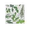 Paw Lunch Napkins Design Herbal Taste Collection Food Paw