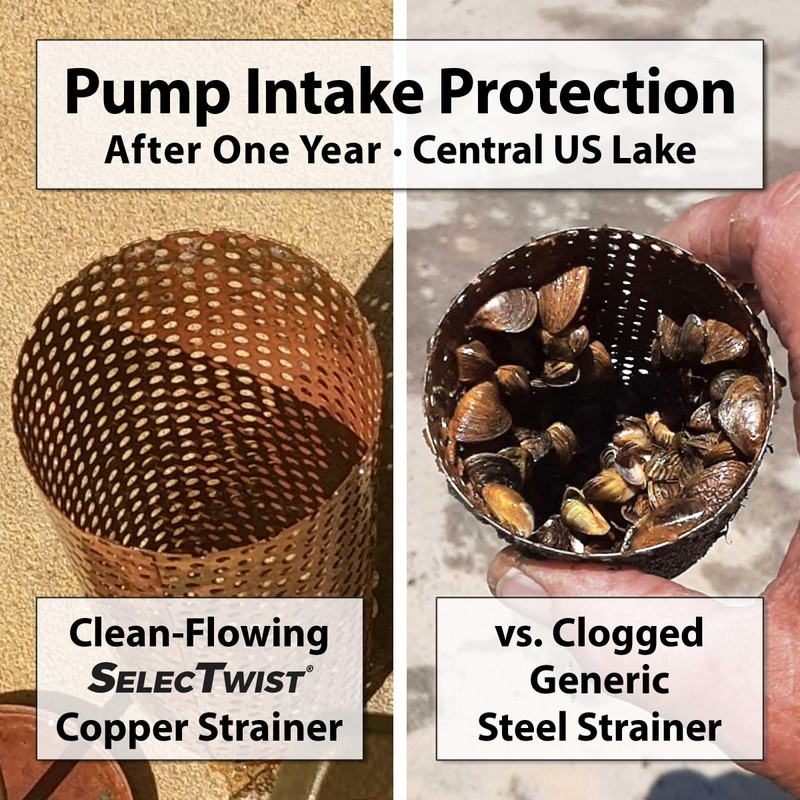 FOOT VALVE - 2" One-Way With ZEBRA MUSSEL Strainer Made