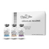PLATINUMMAX Clulas Madre Regenera, Repara, Uniforma, Tonifica, Hidratacin Profunda) 3