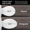 MAYFAIR 1888SLOW 000 NextStep2 Toilet Seat with Built-In Potty Training