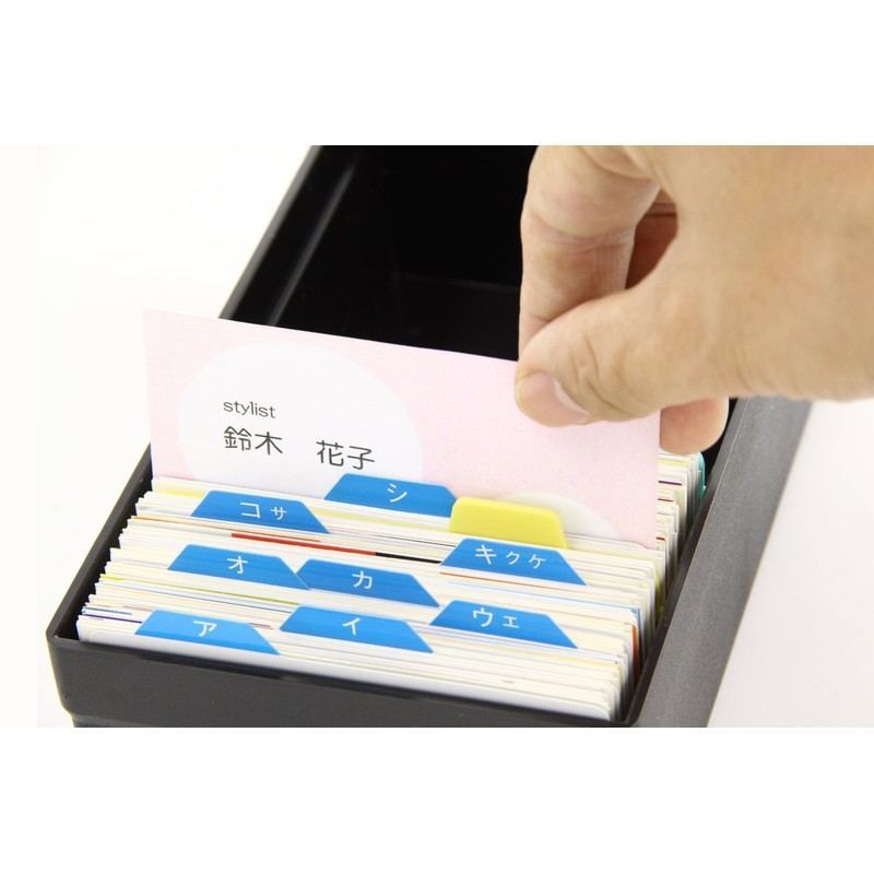 ライオン事務器 名刺整理箱 800枚 No.100-BK 黒