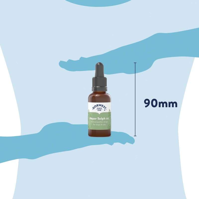 Dorwest Herbs Hepar Sulph 30C Homoeopathic Liquid Remedy for Dogs