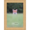 Poster Palooza 7x4 Inch Ornate Gold Complete Wood Picture Frame