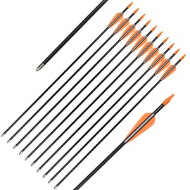 Fiberglass Practice Arrows Archery 24 Inch Target Shooting Safetyglass Recurve Bows Suitable for Youth Children Woman Beginner 12PCS