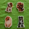 Dog Planar Resin Set