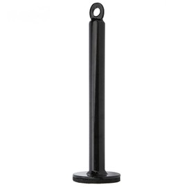 Cyrank Barbell Disc Support Frame, Fixed Stainless Steel Holder, Charging Pin, Weight Plate Charging Pin for Strength Training in the Home Gym (20 mm x 220 mm)