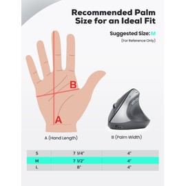 Nulea MD280 Ergonomic Vertical Wireless Mouse - Bluetooth & 2.4G Dual Mode, 4 Adjustable DPI 800/1200/1600/2400, Rechargeable, Silent Clicks, No Lag, 6 Buttons - Perfect for Laptop, Desktop Grey