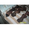 Ford 1990-1994 ford ranger 4.0 V6 exhaust bolts