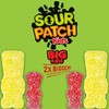 SOUR PATCH KIDS Big Kids Soft & Chewy Gummy Candy,