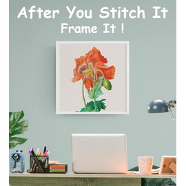 Orenco Originals Vincent Pierre Redoute Orange Poppy -14 Count Counted Cross Stitch Patterns