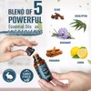 Natural Riches Five Guards Essential Oil Blend for Health Shield