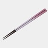 Ishida 11817-0 Chopsticks, Sky Blue, Morning Sake, 9.1 inches (23