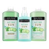 John Frieda After Sun Shampoo 250 ml with Refreshing Cucumber
