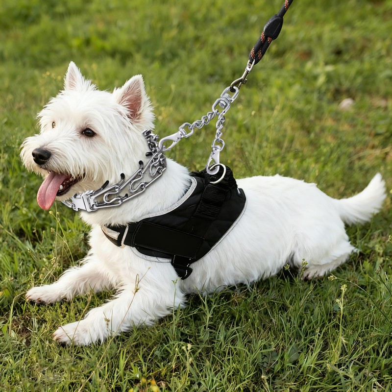 DEYACE Leash Backup with Dual Clasps Prong Collar Safety Clip