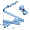 DiBanGu Light Blue Bow Ties for Men Paisley Pretied Bow
