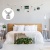 PATIKIL 4pcs 304 Stainless Steel 4mm Inner Diameter Hand Screw