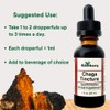 Northern Elderberry Chaga Mushroom Tincture, 1 oz Dual Extraction |