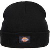Dickies Gibsland Beanie, black