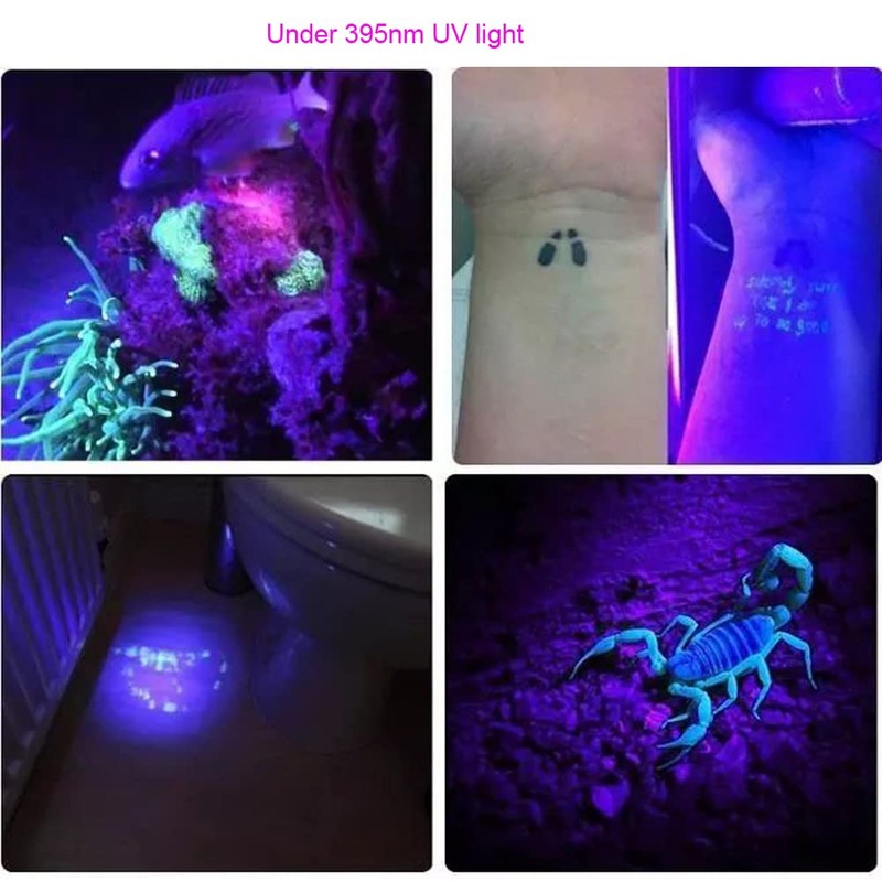 WONDSUNSON 2 x 365nm 395nm Black Light UV Flashlight Mini