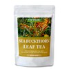 100% Natural Sea Buckthorn Leaf Tea, 40 Count, Premium Sea
