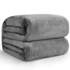 Hansleep Blanket, Microfiber, Soft, Warm, Flannel, Washable, For Air Conditioning,