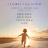 LUCAS Herbal Epsom Salt, White Sage & Crystal-derived Silicon Blend,