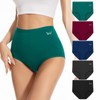 PULIOU Women's High Waisted Cotton Underwear Stretch Briefs Full Coverage
