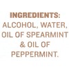 McCormick McCormick Pure Mint Extract, 2 fl oz