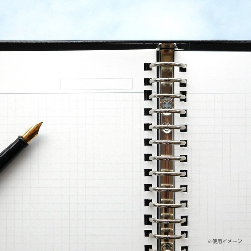 Maruman Loose Leaf A4 Jiuris Square 0.2 inch (5 mm)