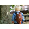 LittleLife LittleLife Animal Toddler Backpack With Safety Rein, Spike The