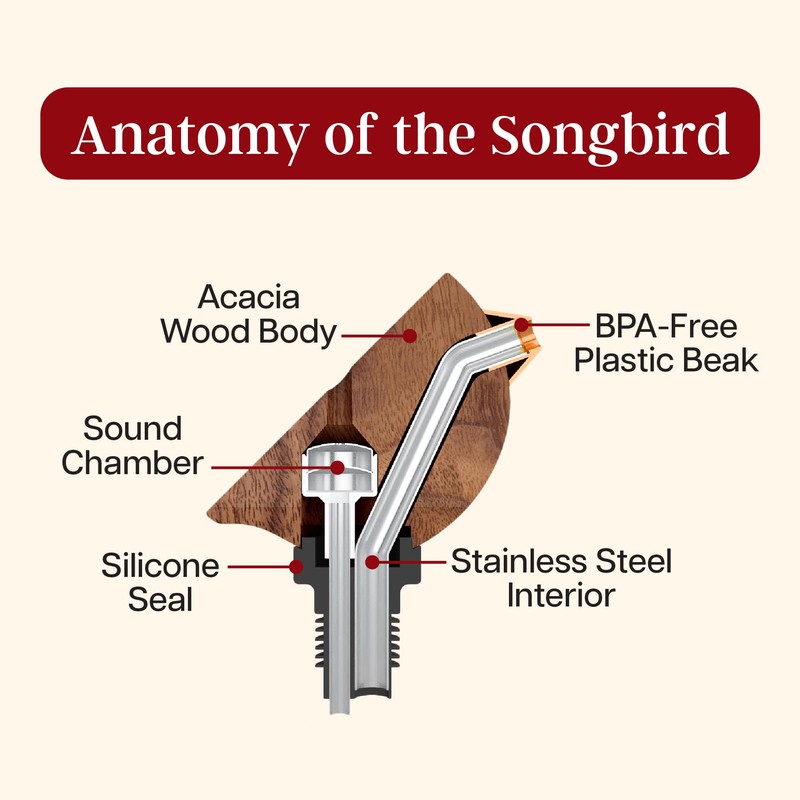 Songbird Specialties Wine Bottle Pourer, Fun Wine Pourer Spout Sings