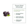 Eclectic Herb - Black Raspberry Powder Superfood Supplement | Nutritional