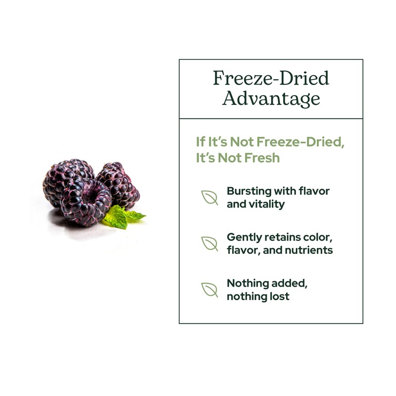 Eclectic Herb - Black Raspberry Powder Superfood Supplement | Nutritional