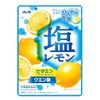 Asahi Group Food Salt Lemon Candy 2.1 oz (62 g)