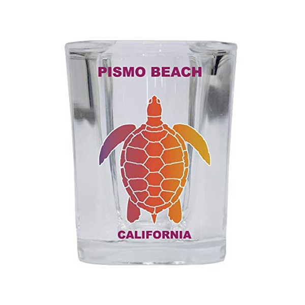 Pismo Beach California Souvenir Rainbow Turtle Design Square Shot Glass