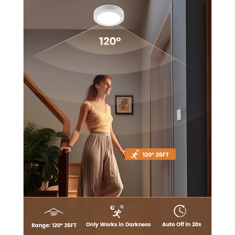 SURAIELEC Rechargeable Ceiling Light with Wall Switch, 8000mAh Battery Ceiling